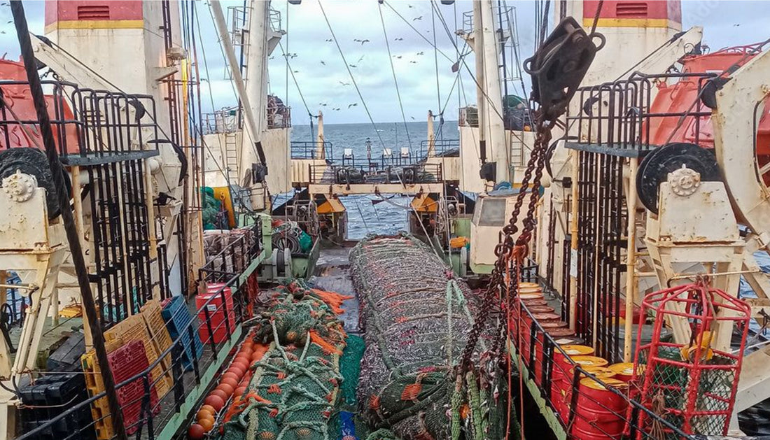 Why bottom trawling belongs in the history books, not our oceans