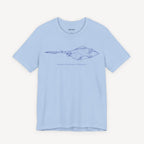 Sting Ray Drawing T-shirt