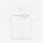 Sting Ray Drawing T-shirt