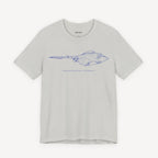 Sting Ray Drawing T-shirt